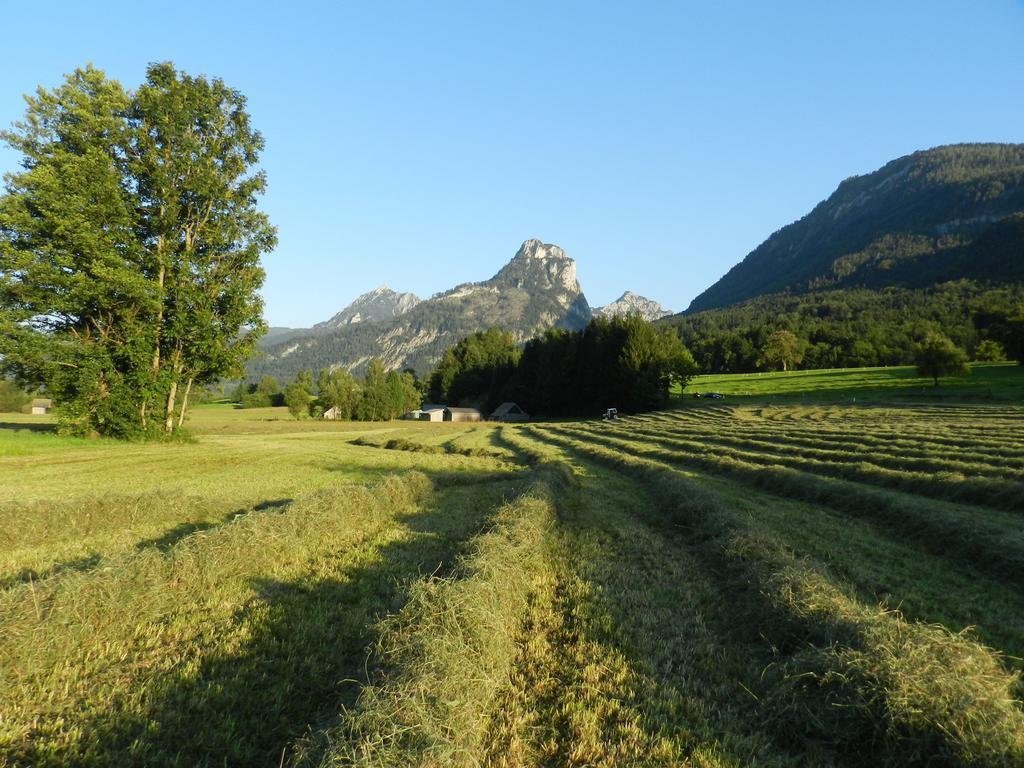 Gasthof Wiesenhof Strobl Esterno foto